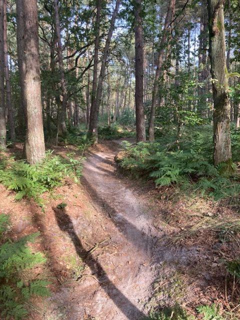 Kom Tot Rust In The Forest Putte Exterior foto